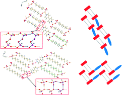 Graphical abstract: A detailed comparative structural study of the hydrogen bonded networks in solids, obtained by the reaction of 4,4′-bipyridine and varied alkane-α,ω-diphosphonic acids