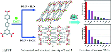Graphical abstract: Solvent-induced construction of two zinc metal–organic frameworks for highly selective detection of nitroaromatic explosives
