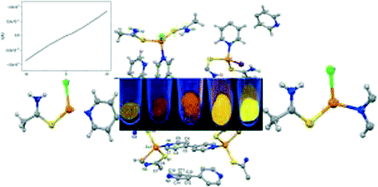 Graphical abstract: Strong luminescent copper(i) halide coordination polymers and dinuclear complexes with thioacetamide and N,N′-donor ligands