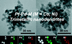 Graphical abstract: A facile strategy for the synthesis of branched Pt–Pd–M (M = Co, Ni) trimetallic nanocrystals