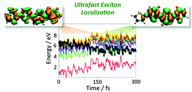 Graphical abstract: Modeling ultrafast exciton deactivation in oligothiophenes via nonadiabatic dynamics