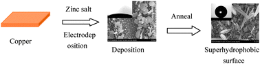 Graphical abstract: Controllable growth of durable superhydrophobic coatings on a copper substrate via electrodeposition