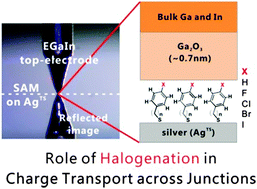 Graphical abstract: Influence of halogen substitutions on rates of charge tunneling across SAM-based large-area junctions