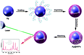 Graphical abstract: High performance surface-enhanced Raman scattering from molecular imprinting polymer capsulated silver spheres