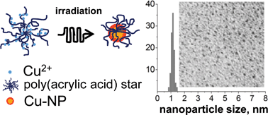 Graphical abstract: Efficient size control of copper nanoparticles generated in irradiated aqueous solutions of star-shaped polyelectrolyte containers
