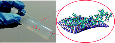Graphical abstract: Liquid phase exfoliation and crumpling of inorganic nanosheets