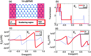 Graphical abstract: Spin caloritronics of blue phosphorene nanoribbons
