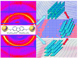 Graphical abstract: Local structure of semicrystalline P3HT films probed by nanofocused coherent X-rays