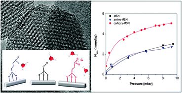 Graphical abstract: Influence of surface functionalization on the hydrophilic character of mesoporous silica nanoparticles