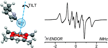 Graphical abstract: Structure determination of bound nitrogen-based adducts with copper(ii) acetylacetonato; an EPR, ENDOR and DFT study