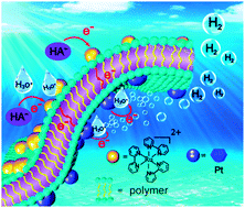 Graphical abstract: Towards a comprehensive insight into efficient hydrogen production by self-assembled Ru(bpy)32+–polymer–Pt artificial photosystems