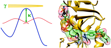 Graphical abstract: Protein motions and dynamic effects in enzyme catalysis