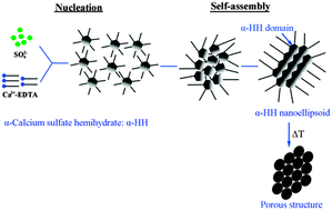 Graphical abstract: Controlled synthesis of monodisperse α-calcium sulfate hemihydrate nanoellipsoids with a porous structure