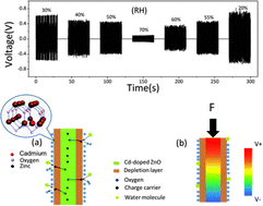 Graphical abstract: Enhanced piezo-humidity sensing of a Cd–ZnO nanowire nanogenerator as a self-powered/active gas sensor by coupling the piezoelectric screening effect and dopant displacement mechanism