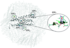 Graphical abstract: Multiple active zones in hybrid QM/MM molecular dynamics simulations for large biomolecular systems