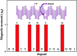 Graphical abstract: A first-principles study on the magnetic properties of nonmetal atom doped phosphorene monolayers