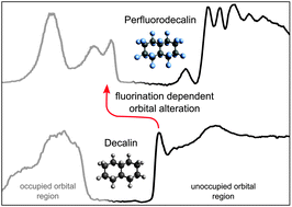 Graphical abstract: Fluorination-dependent molecular orbital occupancy in ring-shaped perfluorocarbons