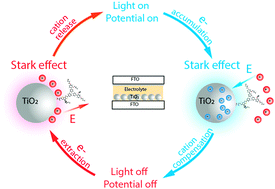 Graphical abstract: A key discovery at the TiO2/dye/electrolyte interface: slow local charge compensation and a reversible electric field