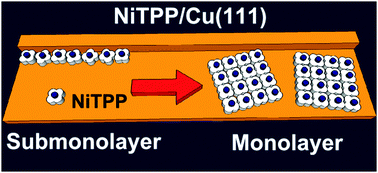 Graphical abstract: Self-assembly of NiTPP on Cu(111): a transition from disordered 1D wires to 2D chiral domains