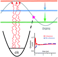 Graphical abstract: Quantum coherence effects in natural light-induced processes: cis–trans photoisomerization of model retinal under incoherent excitation