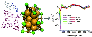 Graphical abstract: Excited state interactions between the chiral Au38L24 cluster and covalently attached porphyrin
