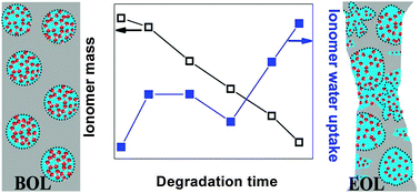 Graphical abstract: Evolution of water sorption in catalyst coated membranes subjected to combined chemical and mechanical degradation