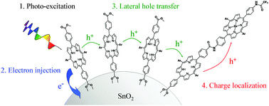 Graphical abstract: Towards multielectron photocatalysis: a porphyrin array for lateral hole transfer and capture on a metal oxide surface