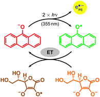 Graphical abstract: Generating hydrated electrons through photoredox catalysis with 9-anthrolate