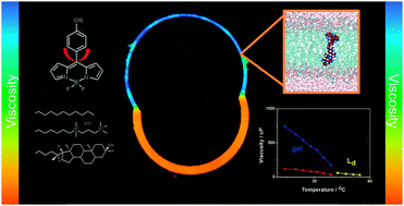 Graphical abstract: Imaging phase separation in model lipid membranes through the use of BODIPY based molecular rotors
