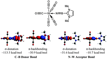 Graphical abstract: Interplay of donor–acceptor interactions in stabilizing boron nitride compounds: insights from theory