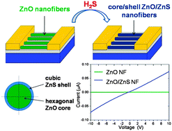 Graphical abstract: Facile synthesis of core/shell ZnO/ZnS nanofibers by electrospinning and gas-phase sulfidation for biosensor applications