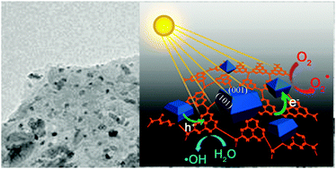 Graphical abstract: In situ growth of TiO2 nanocrystals on g-C3N4 for enhanced photocatalytic performance