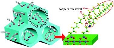 Graphical abstract: The cooperative adsorption properties of cetyl/amino-SBA-15 for 4-nonylphenol