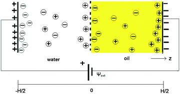 Graphical abstract: Anomalous system-size dependence of electrolytic cells with an electrified oil–water interface