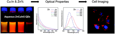 Graphical abstract: The composition effect on the optical properties of aqueous synthesized Cu–In–S and Zn–Cu–In–S quantum dot nanocrystals