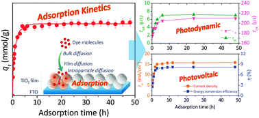 Graphical abstract: Dye adsorption mechanisms in TiO2 films, and their effects on the photodynamic and photovoltaic properties in dye-sensitized solar cells