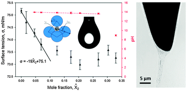 Graphical abstract: Precipitation and surface adsorption of metal complexes during electropolishing. Theory and characterization with X-ray nanotomography and surface tension isotherms