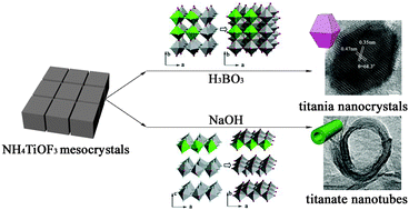 Graphical abstract: Selective synthesis of TiO2 single nanocrystals and titanate nanotubes: a controllable atomic arrangement approach via NH4TiOF3 mesocrystals