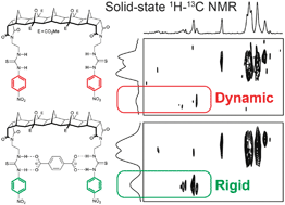 Graphical abstract: Solid-state NMR as a probe of anion binding: molecular dynamics and associations in a [5]polynorbornane bisurea host complexed with terephthalate