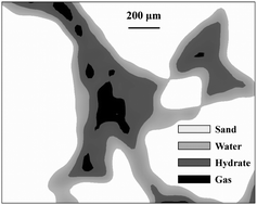 Graphical abstract: Microstructural characteristics of natural gas hydrates hosted in various sand sediments