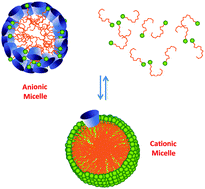 Graphical abstract: Exploring the charged nature of supramolecular micelles based on p-sulfonatocalix[6]arene and dodecyltrimethylammonium bromide