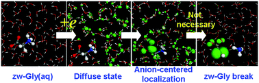 Graphical abstract: Excess electron reactivity in amino acid aqueous solution revealed by ab initio molecular dynamics simulation: anion-centered localization and anion-relayed electron transfer dissociation
