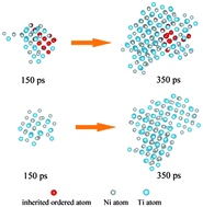 Graphical abstract: The atomic-scale nucleation mechanism of NiTi metallic glasses upon isothermal annealing studied via molecular dynamics simulations