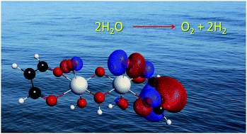 Graphical abstract: Ab initio electronic structure study of a model water splitting dimer complex