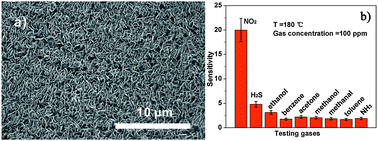 Graphical abstract: Synthesis of ZnO nanosheet arrays with exposed (100) facets for gas sensing applications