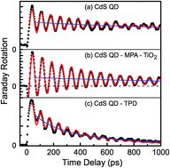 Graphical abstract: Enhanced electron spin rotation in CdS quantum dots
