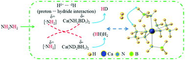 Graphical abstract: Synthesis, structure and the dehydrogenation mechanism of calcium amidoborane hydrazinates