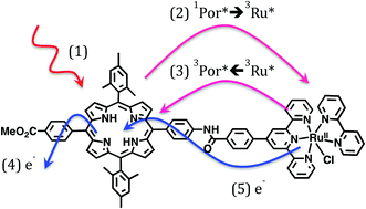 Graphical abstract: Synergistic “ping-pong” energy transfer for efficient light activation in a chromophore–catalyst dyad