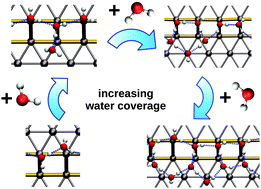 Graphical abstract: Initial stages of water solvation of stepped platinum surfaces