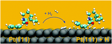 Graphical abstract: Chiral modification of platinum: ab initio study of the effect of hydrogen coadsorption on stability and geometry of adsorbed cinchona alkaloids